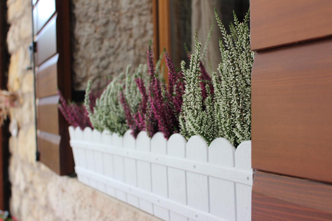 B&B - Relais De Charme La Caminella San Pietro in Cariano Dış mekan fotoğraf